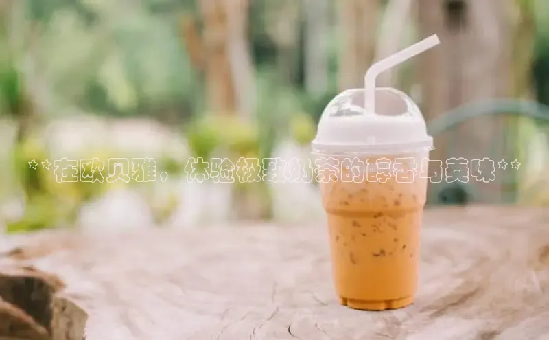 南宫28相信品牌的力量挪威主权基金