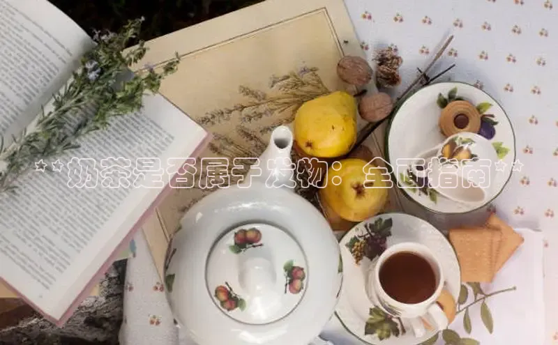 南宫NG娱乐官方版携程